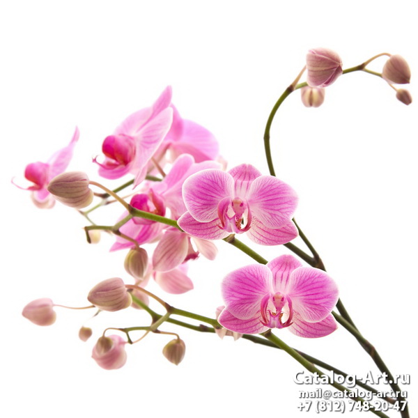 Натяжные потолки с фотопечатью - Розовые орхидеи 43